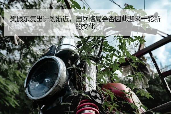 樊振东复出计划渐近，国乒格局会否因此迎来一轮新的变化
