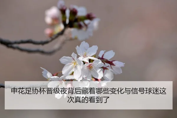 shen-hua-zu-xie-bei-jin-ji-ye-bei-hou-cang-zhe-na-xie-bian-hua-yu-xin-hao-qiu-mi-zhe-ci-zhen-de-kan-dao-le-2-185.jpg